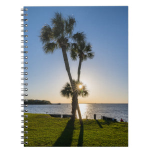 Palm Tree Scissors Silhouette Notebook Notizblock