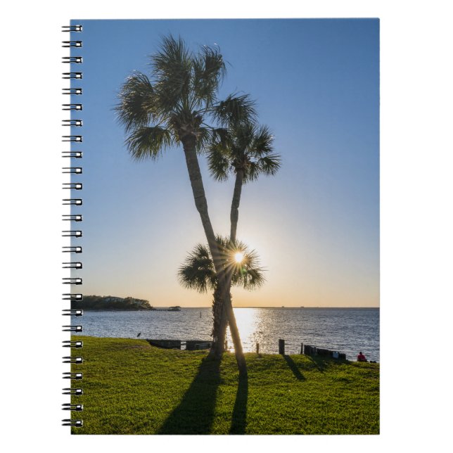 Palm Tree Scissors Silhouette Notebook Notizblock (Vorderseite)