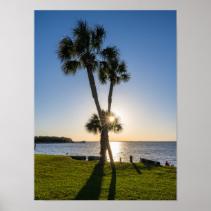 Palm Tree Scissors Silhouette Poster