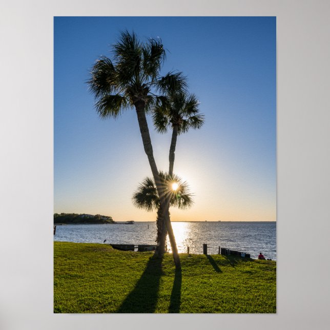 Palm Tree Scissors Silhouette Poster (Vorne)