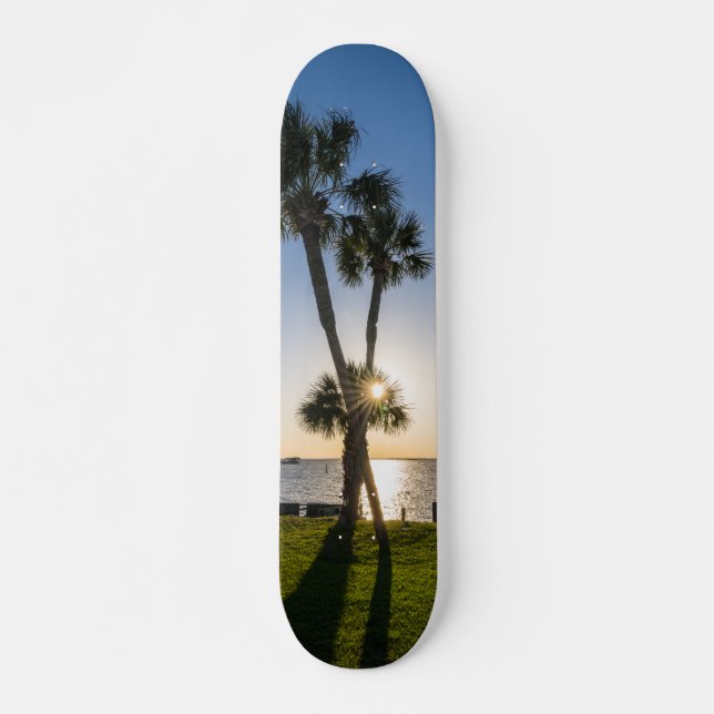 Palm Tree Scissors Silhouette Skateboard (Vorne)