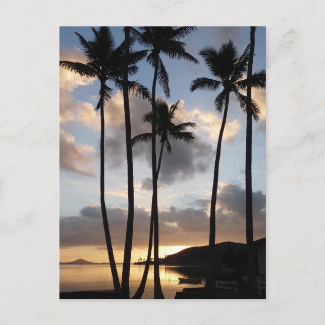 Palm Tree Silhouetten in Hawaii Postkarte (Vorderseite)