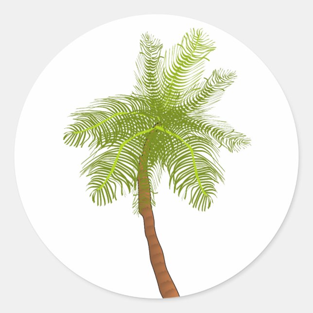 Palm Tree Sticker (Vorderseite)