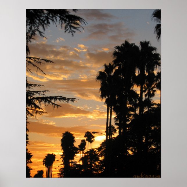 Palm Tree Sunset Los Angeles Poster (Vorne)