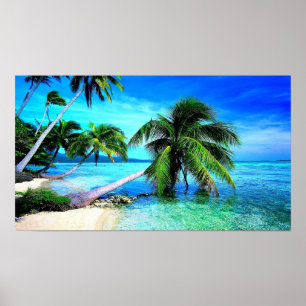 Palm Tree Tropical Island Beach Poster