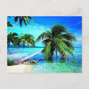 Palm Tree Tropical Island Beach Postkarte