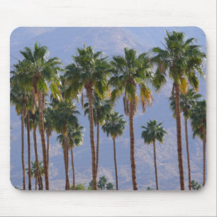 Palm Tree Wüste Kalifornien Palm Springs Mauspad