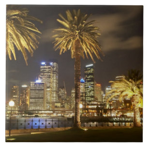 Palm Trees and CBD at Night, Sydney, New South Fliese