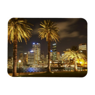 Palm Trees and CBD at Night, Sydney, New South Magnet