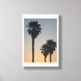Palm Trees At Sunset Leinwanddruck
