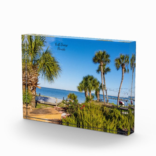 Palm Trees Bayside Morning Foto Block (Rechts)
