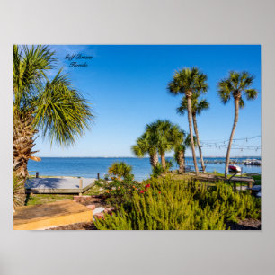 Palm Trees Bayside Morning Poster
