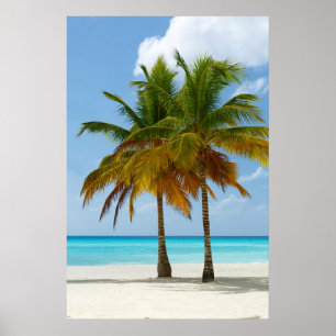 Palm Trees Beach Blue Sea Sky Sonntag Poster