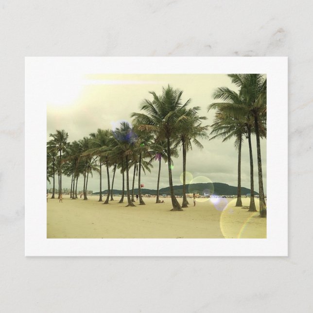 Palm Trees Beach Postcard Postkarte (Vorderseite)
