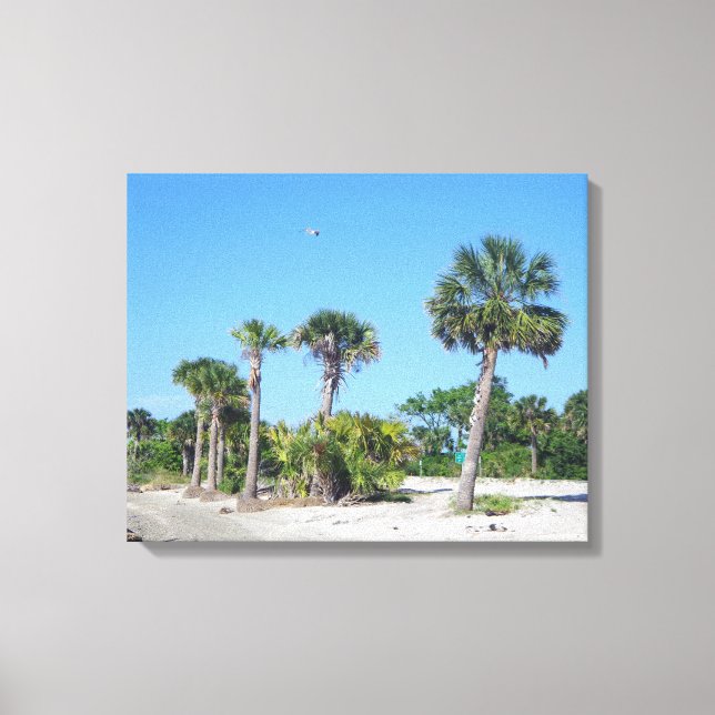 Palm Trees Canvas Print Leinwanddruck (Vorderseite)