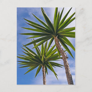Palm Trees Card Postkarte