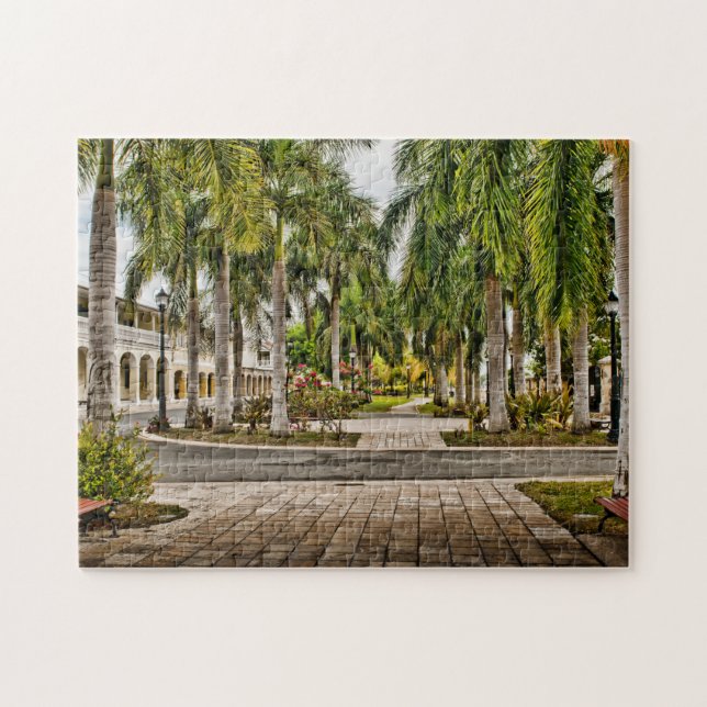 Palm Trees Historic Frederiksted US Jungfrau Islan Puzzle (Horizontal)