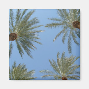 Palm Trees Magnet