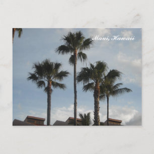 Palm Trees Maui Hawaii Postkarte