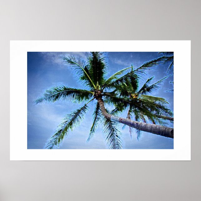Palm Trees Posters Poster (Vorne)