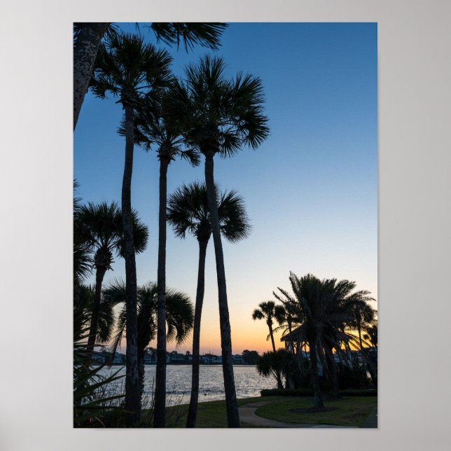 Palm Trees Sunrise Destin Florida Poster (Vorne)