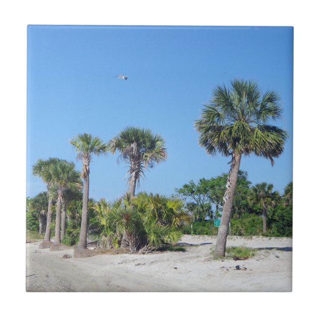 Palm Trees tile Fliese (Vorderseite)