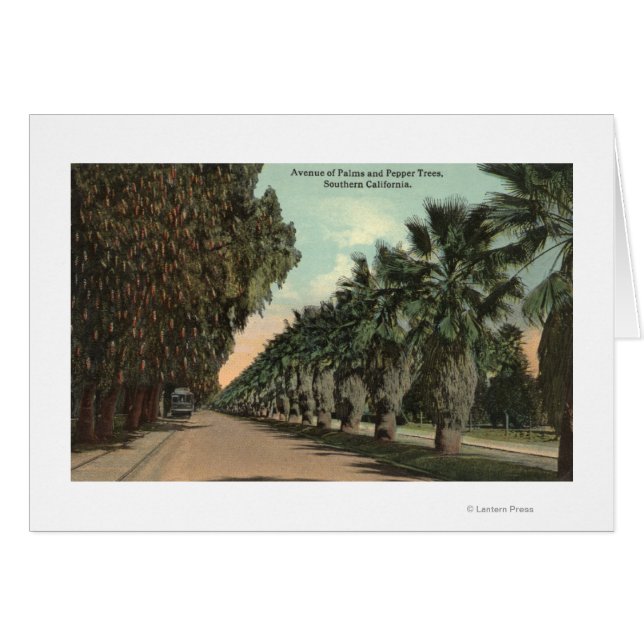 Palm und Pepper Trees entlang der Avenue (Vorderseite (Horizontal))