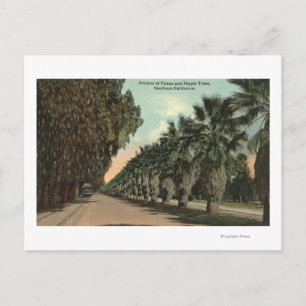 Palm und Pepper Trees entlang der Avenue Postkarte