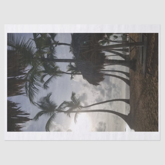 Palm und Strand 2 Papiertaschentuch Seidenpapier (Vorderseite)