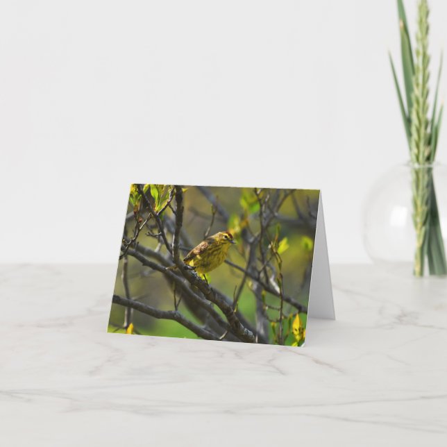 Palm Warbler #1 - Blank Note Card Dankeskarte (Vorderseite)