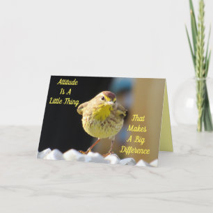 Palm Warbler Backyard Bird Personalisiert Karte