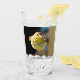 Palm Warbler - Backyard Bird Series - Glas