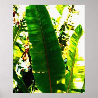 Palm Watercolor Poster