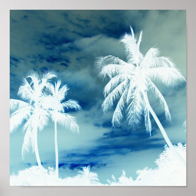 Palm White Poster (Vorne)