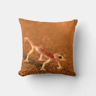 Palmatogecko on Sand Dune, Swakpomund, Erongo Kissen