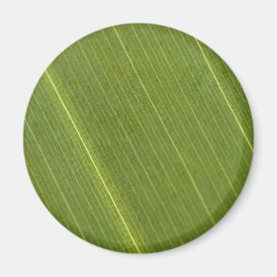 Palmbaumblatt Magnet