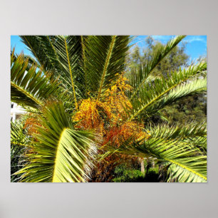 Palmbaumblätter und -blüten poster