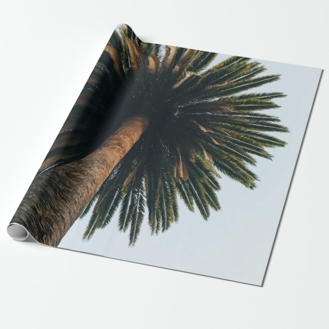 Palmbaumfotografie Geschenkpapier (Ungerollt)