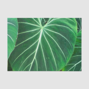 Palmblätterblättern, tropisches Blattwerk, Regenwa Seidenpapier