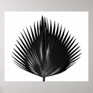 Palmblättrige botanische Pflanze Schwarze Malerei Poster