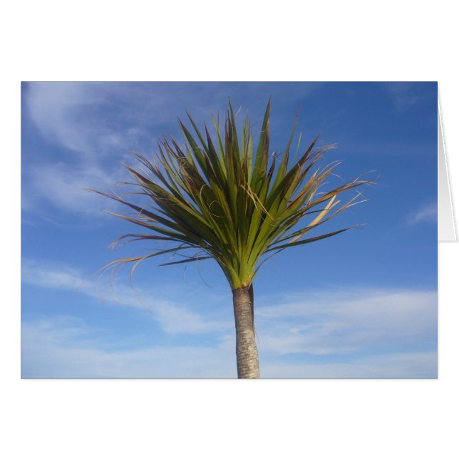 Palme (Vorderseite (Horizontal))