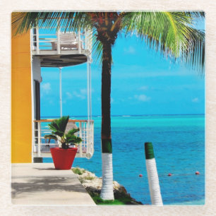 Palme am Vorgarten eines Hauses durch das Meer Glasuntersetzer