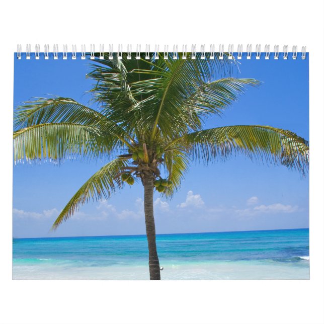 Palme Bahamas Kalender (Titelbild)