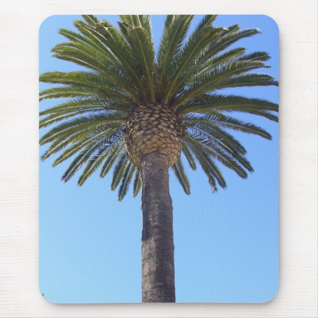 Palme in San Diego, CA Mousepad (Vorne)