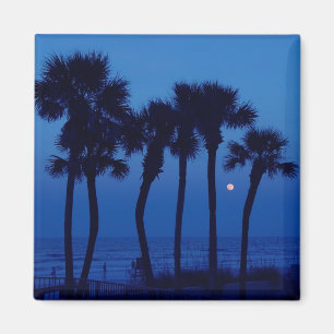 Palme-Mond-Magneten Daytona Beach FL tropische Magnet
