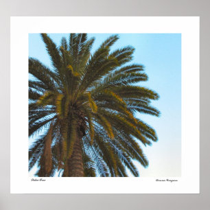 Palme-Plakat-Druck Poster