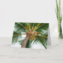 Palme von unten unten