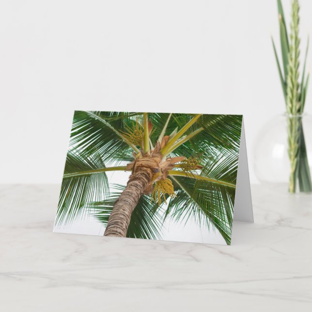 Palme von unten unten karte (Vorderseite)