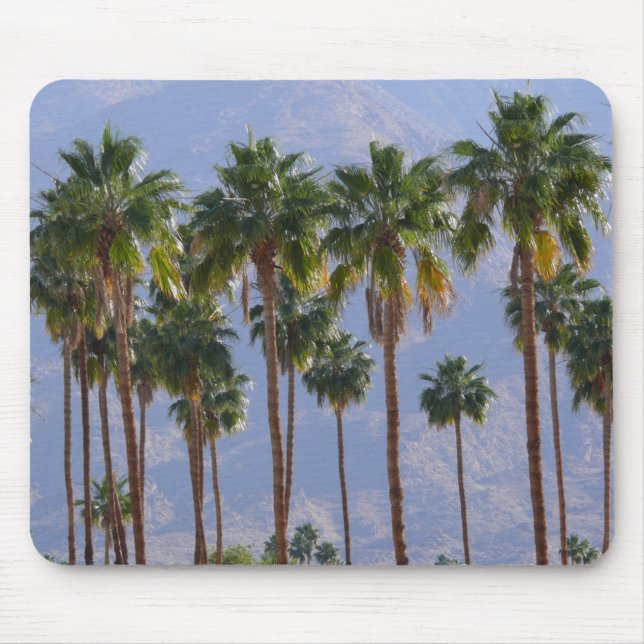 Palme-Wüsten-Kalifornien-Palm Springs Mousepad (Vorne)