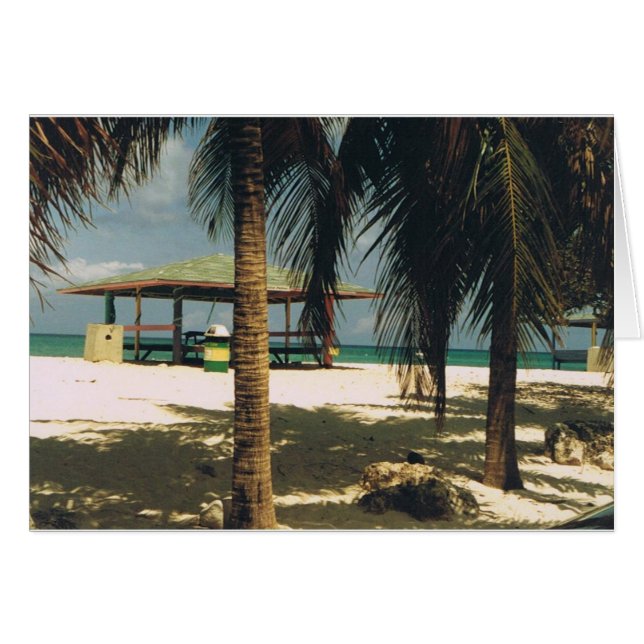 Palmen am Seven Mile Beach, Grand Cayman Island (Vorderseite (Horizontal))